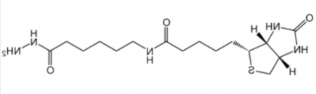 LC-(+)-Biotin hydrazide；109276-34-8；生物素酰胺基己酰肼