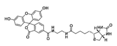 5-FITC-4-Biotin-4；1032732-74-3；生物素-4-荧光素
