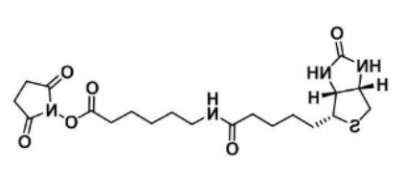 Biotin-LC-NHS，72040-63-2，N-琥珀酰亚氨基6-生物素氨己酸