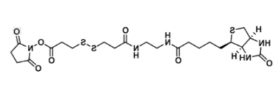 Biotin DSHSE；142439-92-7；二硫化生物素N-羟基-半胱氨酸酯