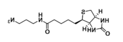 N-(3-Azidopropyl) Biotinamide；908007-17-0；N-(3-叠氮丙基)生物素胺