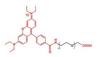 NHS-PEG-Rhodamine;活性酯聚乙二醇罗丹明