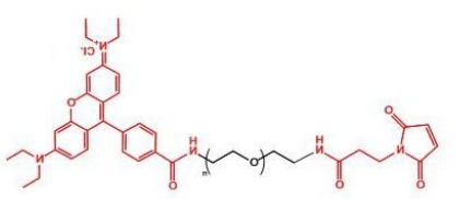 Rhodamine-PEG-MAL 罗丹明聚乙二醇马来酰亚胺 Rhodamine-PEG-MAL 罗丹明聚乙二醇马来酰亚胺
