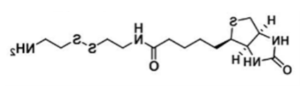 Biotinyl Cystamine；128915-82-2； 生物素-半胱胺