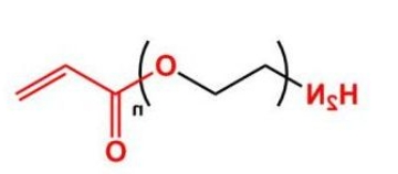 NH2-PEG-Acrylate;氨基聚乙二醇丙烯酸酯