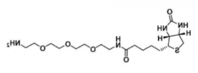 Biotin-PEG3-amine；359860-27-8；生物素-三乙二醇-氨基