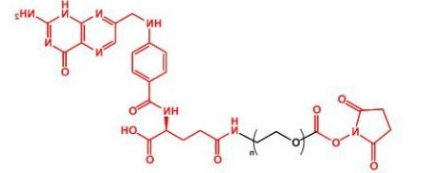  NHS-PEG-FA NHS-PEG-Folate  活性酯聚乙二醇叶酸
