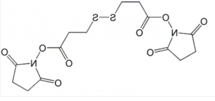 DSP Crosslinker；57757-57-0；3,3'-二硫代二丙酸 二(N-羟基丁二酰亚胺酯)