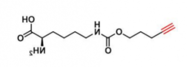 N-戊炔基-L-赖氨酸；1428845-01-5；N-Pentynyloxycarbonyl-L-lysine