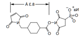 Sulfo-SMCC；92921-24-9；4-(N-马来酰亚胺甲基)环己烷-1-羧酸磺酸基琥珀酰亚胺酯钠盐