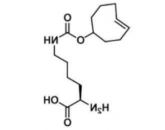 N-(4E)-TCO-L-lysine;1380349-88-1;N-(4E)环辛烯-赖氨酸 N-(4E)-TCO-L-lysine;1380349-88-1;N-(4E)环辛烯-赖氨酸