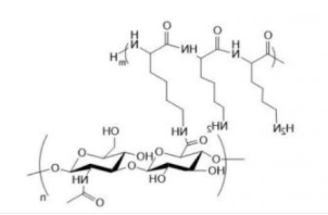 HA-PLL; 透明质酸-聚赖氨酸；聚赖氨酸-透明质酸