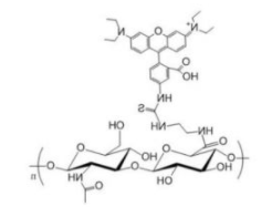 HA-RB; 透明质酸-罗丹明B；HA-Rhodamine B