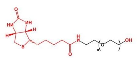 HO-PEG-Biotin Biotin-PEG-OH 羟基聚乙二醇生物素
