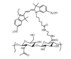HA-Cy3； 透明质酸-花菁染料Cy3；Cy3标记透明质酸