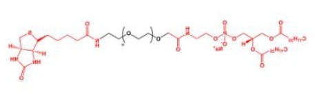  DSPE-PEG-Biotin Biotin-PEG-DSPE 磷脂聚乙二醇生物素 