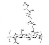 HA-PLGA；透明质酸-聚乳酸羟基乙酸共聚物