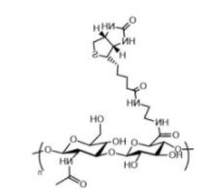 HA-Biotin；透明质酸-生物素；Hyaluronate-Biotin
