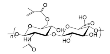 HA-MA；透明质酸-甲基丙烯酸酯；Hyaluronate-Methylpropiolate