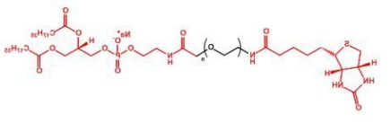  Biotin-PEG-DSPE DSPE-PEG-Biotin  生物素聚乙二醇磷脂