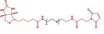 MAL-PEG-Biotin Biotin-PEG-MAL 马来酰亚胺聚乙二醇生物素