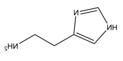 组胺偶联牛血清蛋白；Histamine-BSA；牛血清蛋白修饰组胺