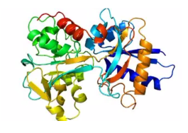 油相NaYbF4纳米粒子；Oil phase NaYbF4 nanoparticles