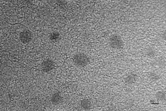 水溶性硫化铜纳米粒子10nm；Water soluble copper sulfide