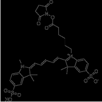 Sulfo-Cy3 NHS ester；磺化Cy3活化酯