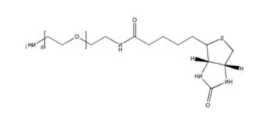 Bio-PEG2K-NH2;生物素-聚乙二醇-氨基的特点 Bio-PEG2K-NH2;生物素-聚乙二醇-氨基的特点