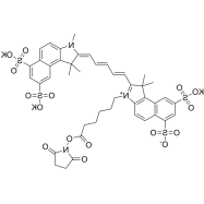 Sulfo-Cy5.5 NHS ester；Sulfo-Cy5.5琥珀酰亚胺酯