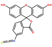 FITC（异硫氰酸荧光素）； 5-FITC；Fluorescein isothiocyanate isomer 