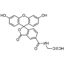 5-FAM alkyne;5-羧基荧光素-炔基