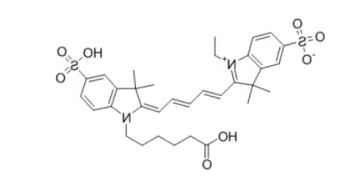 Cy5 (CAS:146368-11-8)；花青素荧光染料CY5