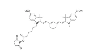 Sulfo-Cy7 NHS ester；1603861-95-5；磺酸基CY7 琥珀酰亚胺酯