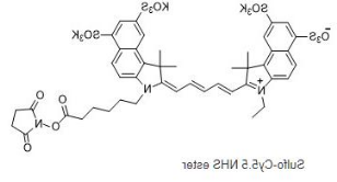 水溶cy5.5-NHS；磺酸基Cy5.5-活性酯；Sulfo-Cyanine5.5-NHS