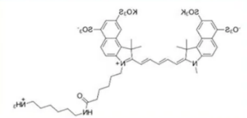 Sulfo CY5.5 NH2；磺酸化CY5.5氨基；sulfo-Cy5.5 amine