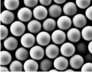 单分散聚苯乙烯微球300nm；单分散聚苯乙烯微球