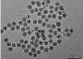 羧基化ps微球200nm；羧基化红色荧光聚苯乙烯微球 