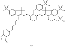 IR800-NHS；CAS：956579-01-4；IR800 琥珀酰亚胺酯活性脂