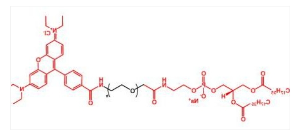 罗丹明聚乙二醇磷脂 Rhodamine-PEG-DSPE