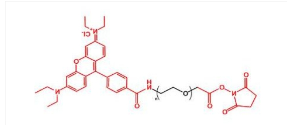罗丹明聚乙二醇活性酯 RB-PEG-NHS