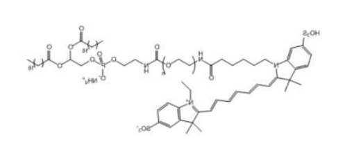 Cy7-PEG-DSPE,Cy7-聚乙二醇-磷脂, Cy7-聚乙二醇-二硬脂酰基磷脂酰乙醇胺 Cy7-PEG-DSPE,Cy7-聚乙二醇-磷脂, Cy7-聚乙二醇-二硬脂酰基磷脂酰乙醇胺