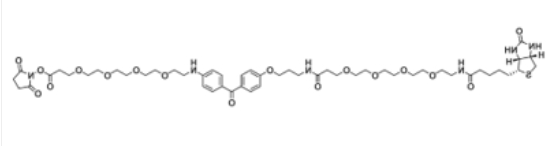 UV-Tracer Biotin NHS ester；1628029-01-5