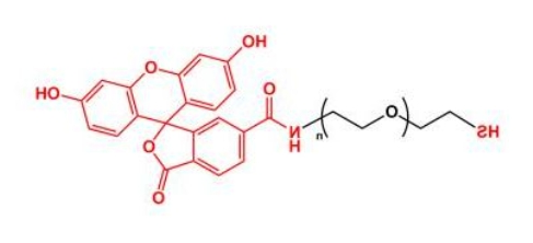 荧光素聚乙二醇巯基 FITC-PEG-SH