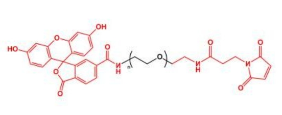 荧光素聚乙二醇马来酰亚胺 FITC-PEG-MAL