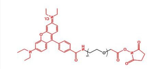 罗丹明聚乙二醇活性酯 RB-PEG-NHS