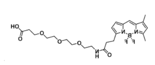 BODIPY FL-PEG3-COOH
