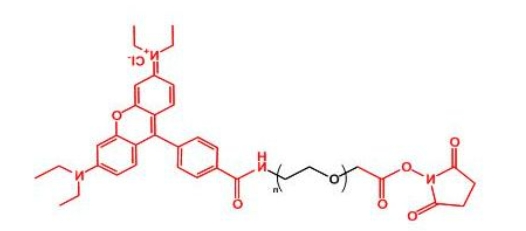 罗丹明聚乙二醇活性酯 RB-PEG-NHS