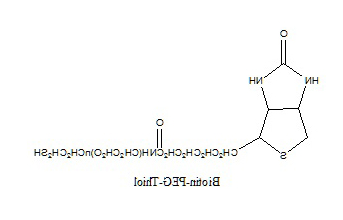 Biotin-PEG-SH 生物素-聚乙二醇-硫醇